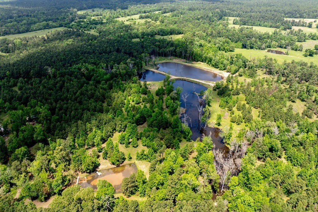 34.82 acres in HOUSTON County - photo 9