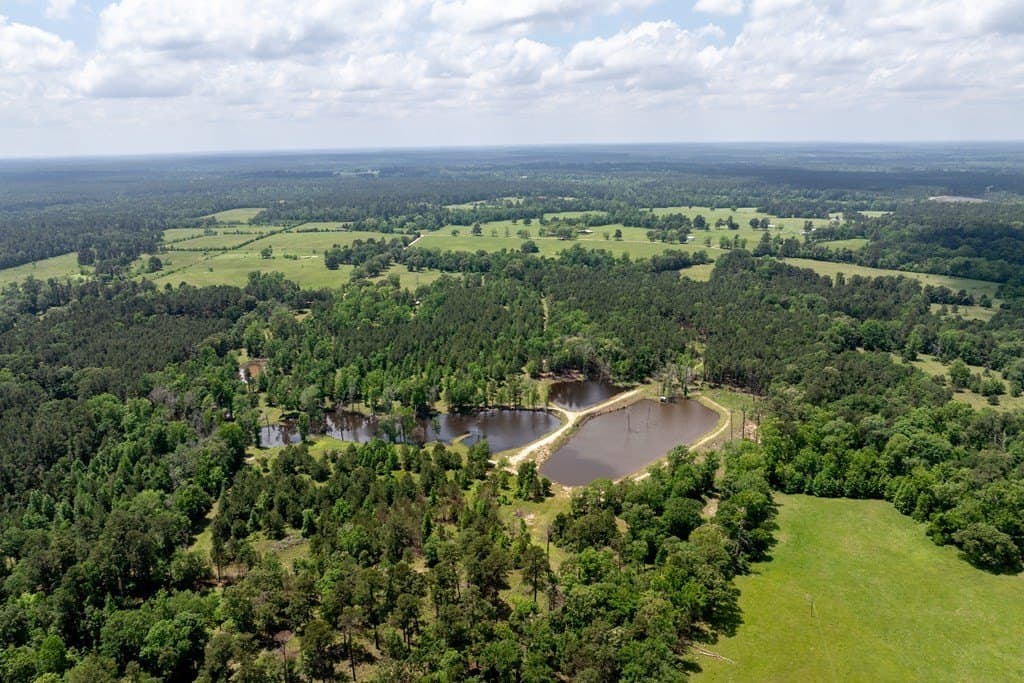 34.82 acres in HOUSTON County - photo 13