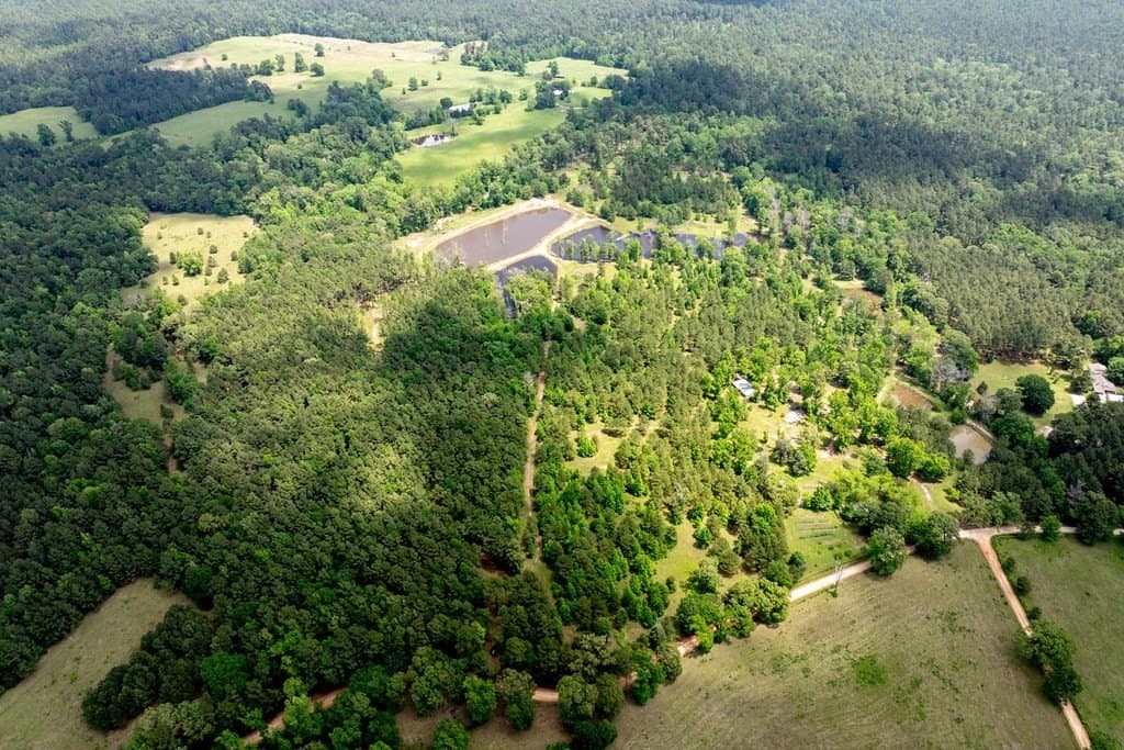 34.82 acres in HOUSTON County - photo 5