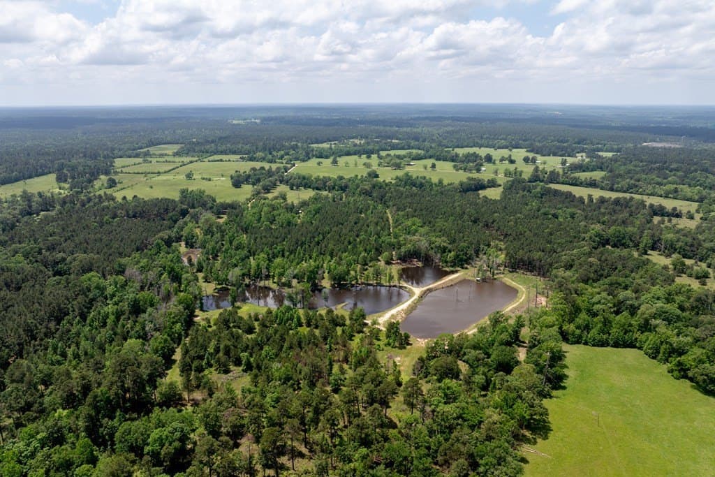 34.82 acres in HOUSTON County - photo 17