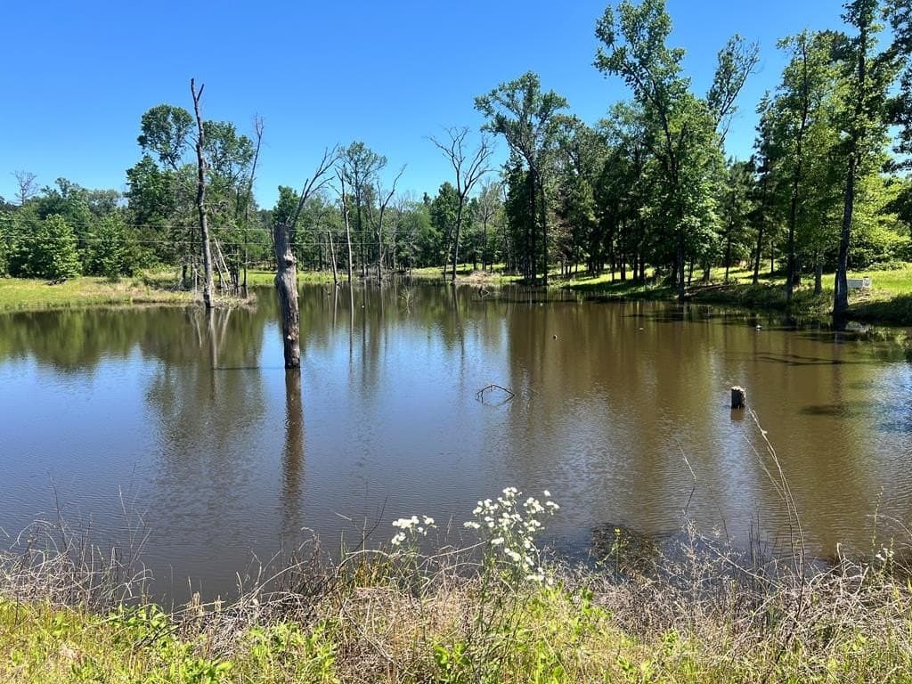 34.82 acres in HOUSTON County - photo 36