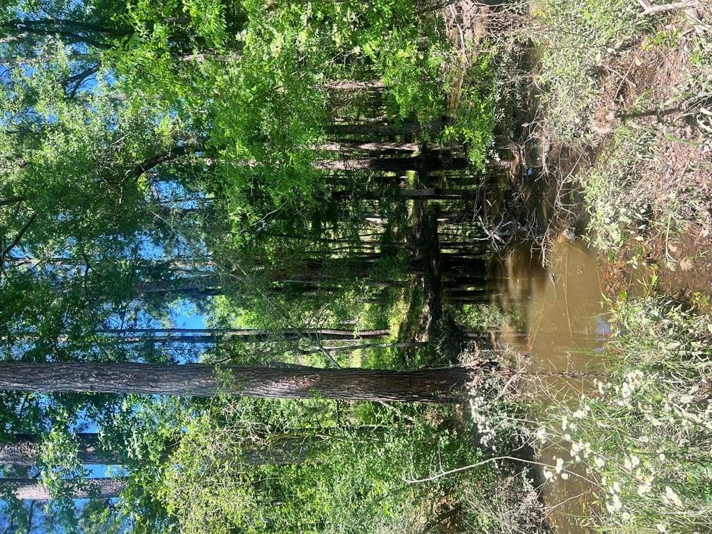 34.82 acres in HOUSTON County - photo 34