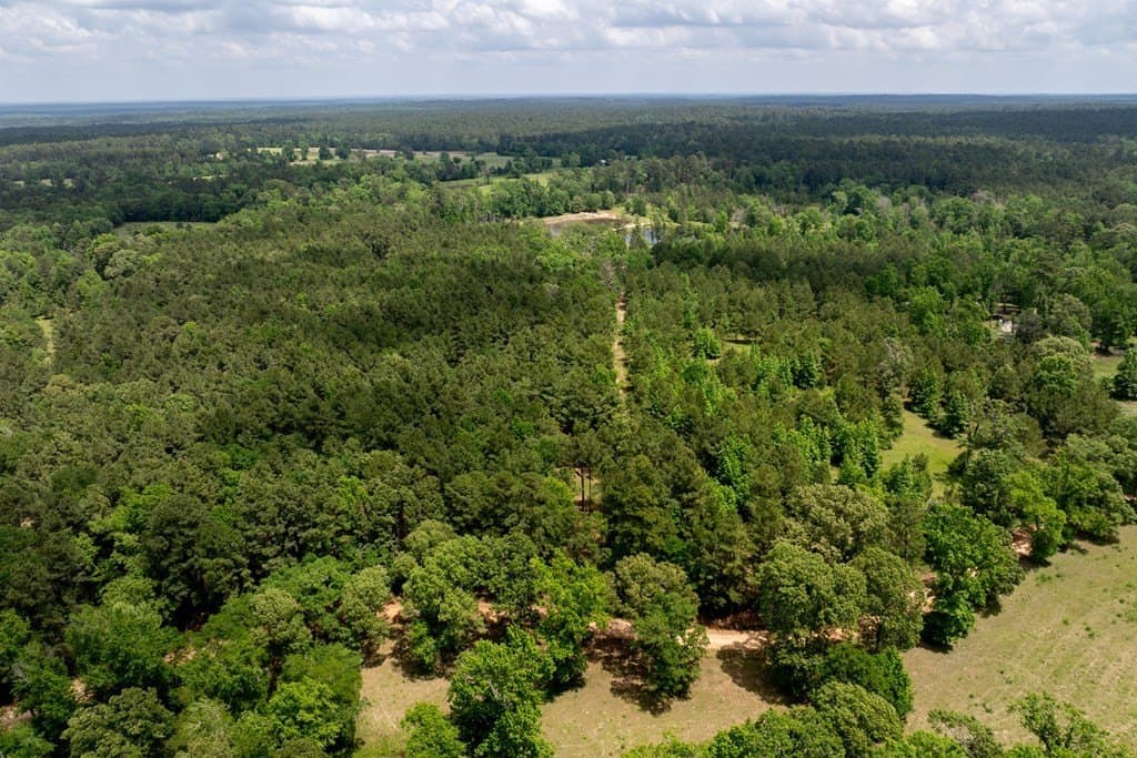 34.82 acres in HOUSTON County - photo 28