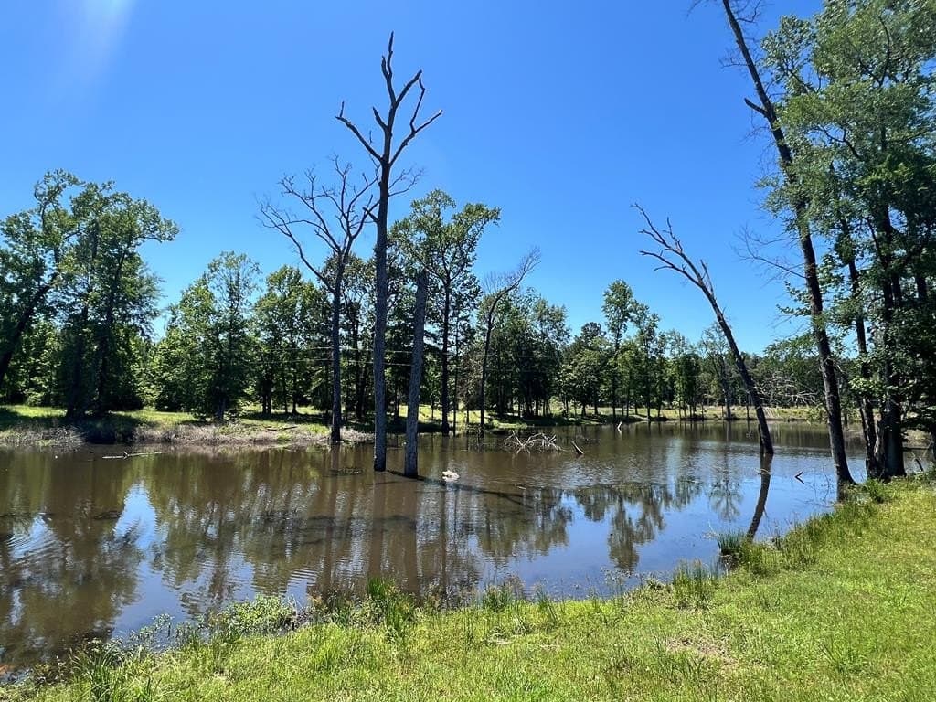 34.82 acres in HOUSTON County - photo 33