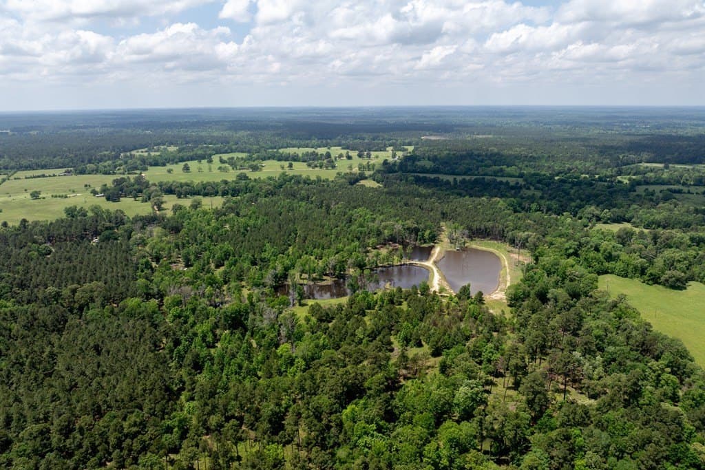 34.82 acres in HOUSTON County - photo 11