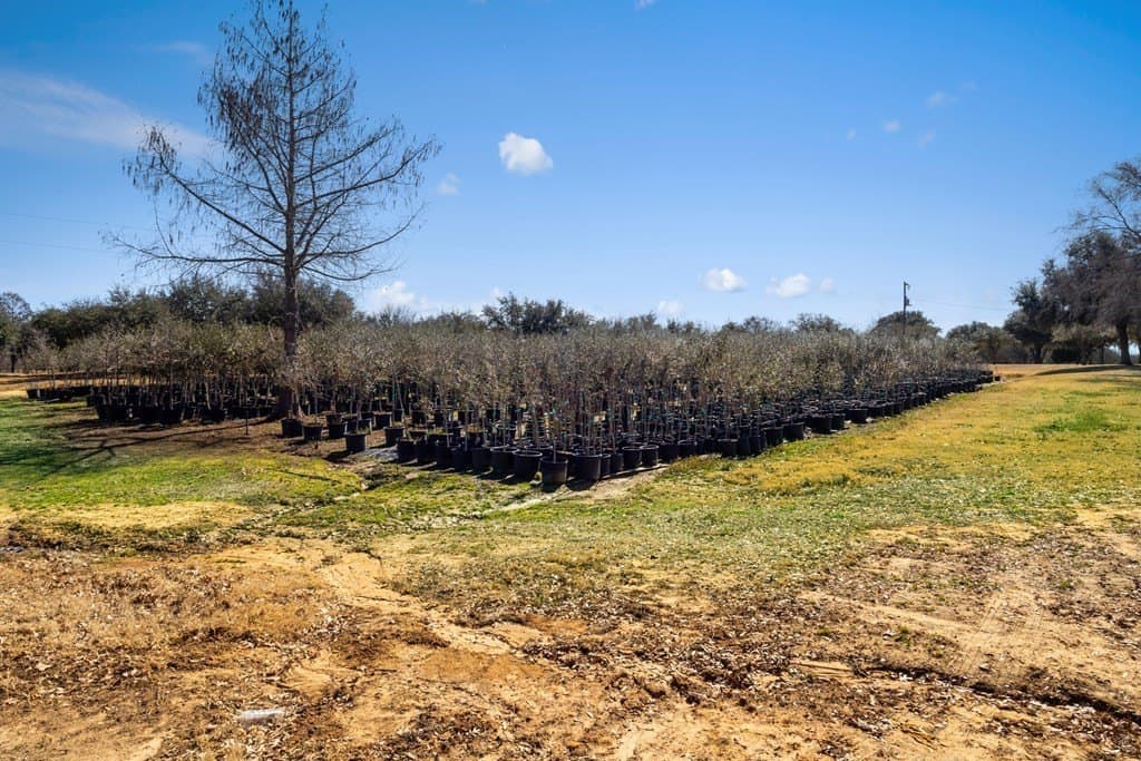 140 acres in Kaufman County - photo 52