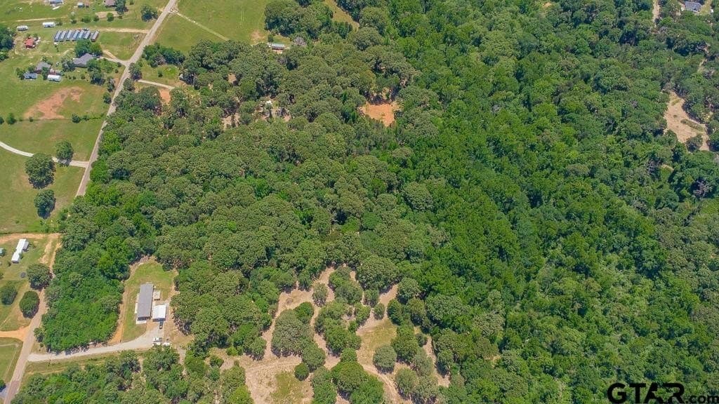 10 acres in Smith County - photo 7