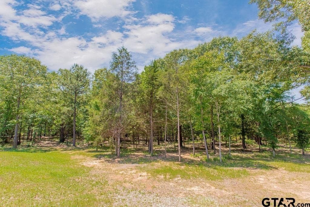 10 acres in Smith County - photo 39