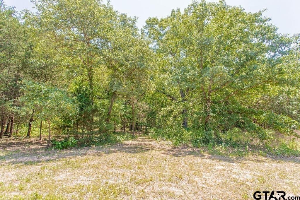 10 acres in Smith County - photo 41