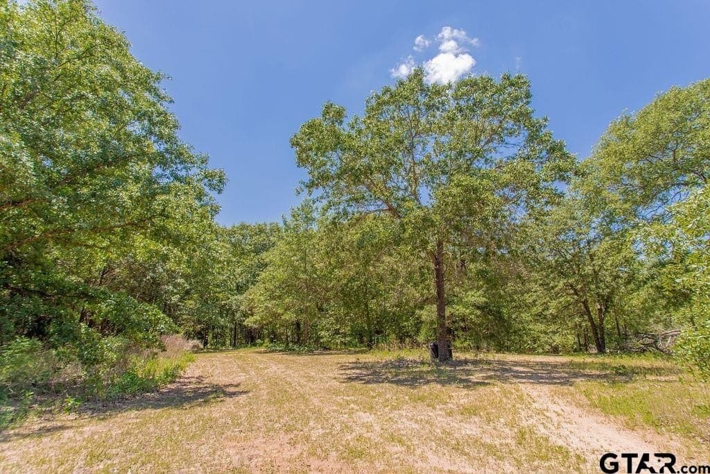 10 acres in Smith County - photo 42