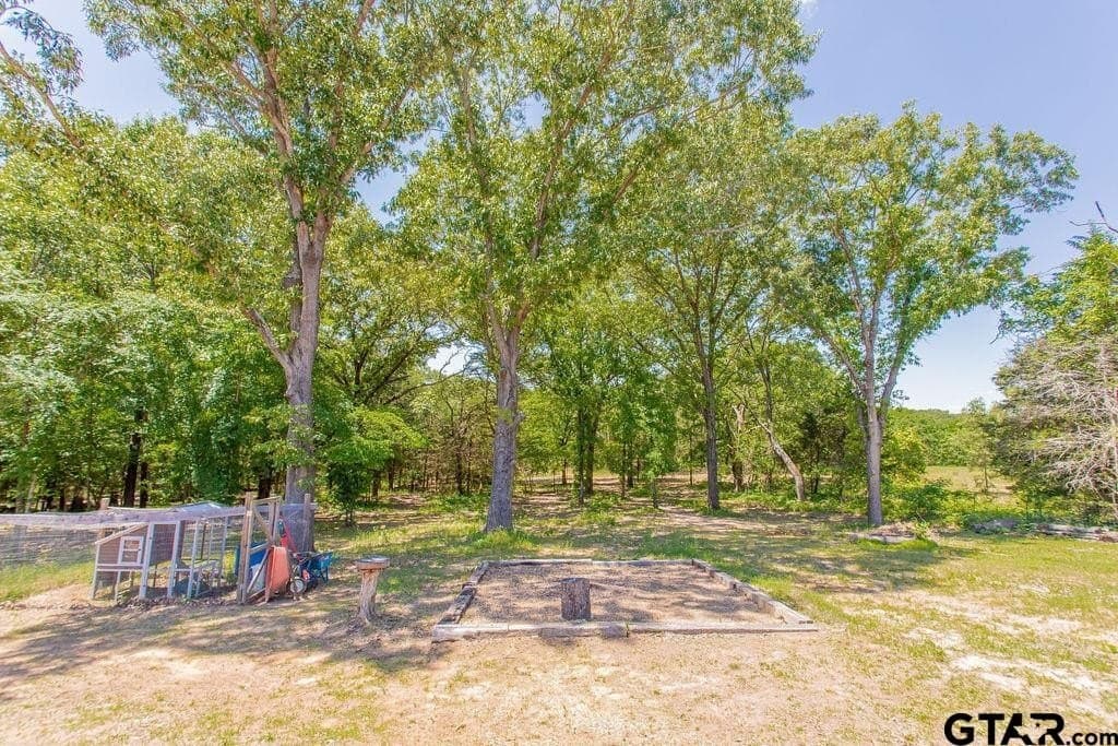 10 acres in Smith County - photo 40