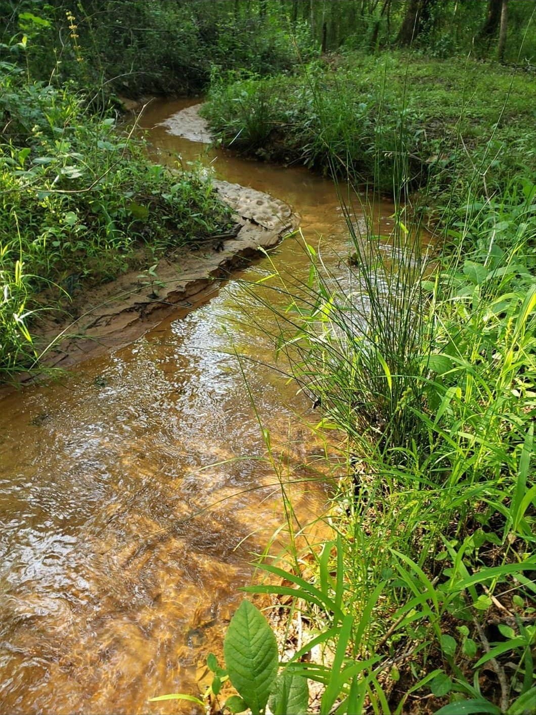 10 acres in Smith County - photo 27