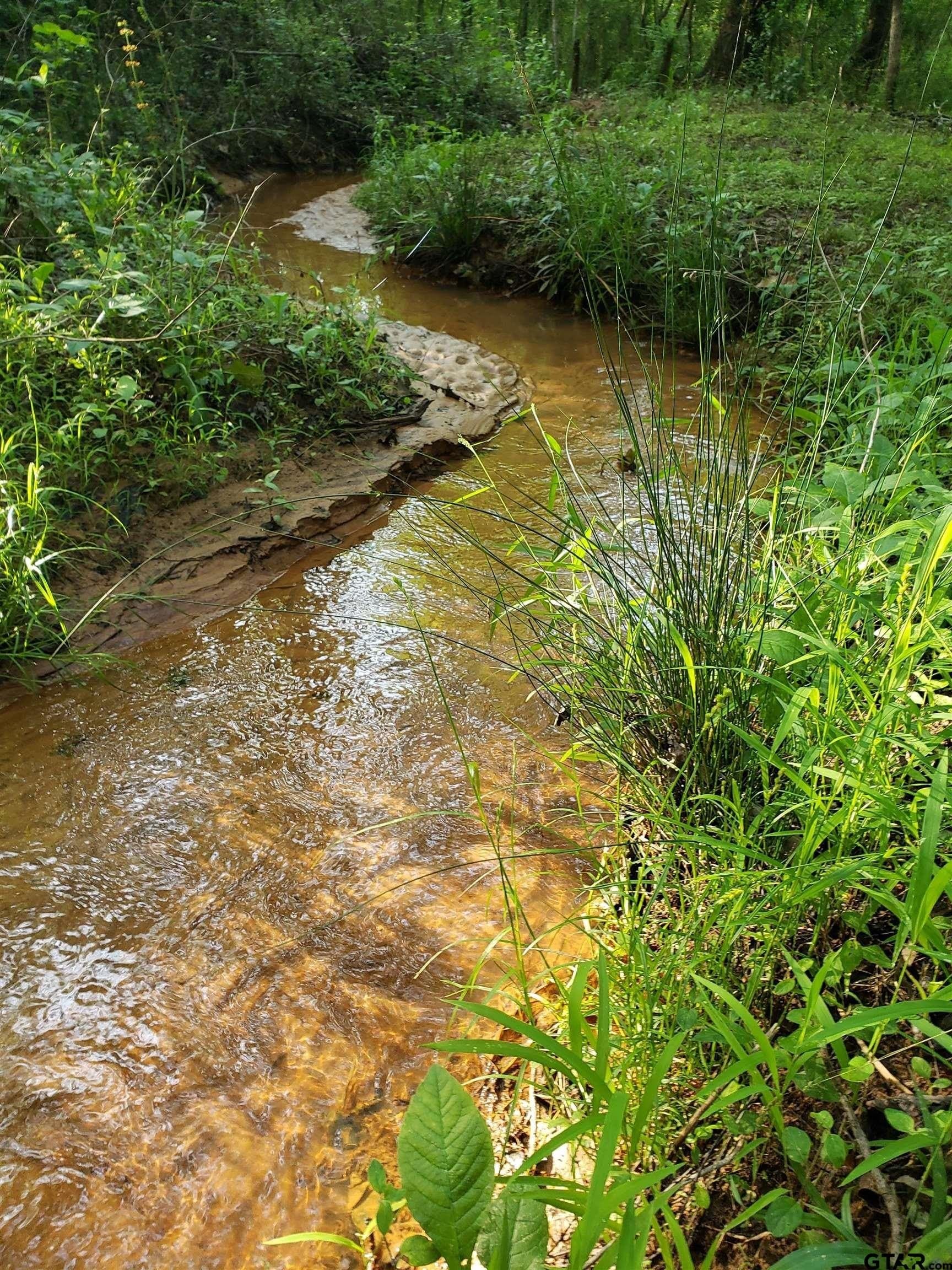 10 acres in Smith County - photo 48