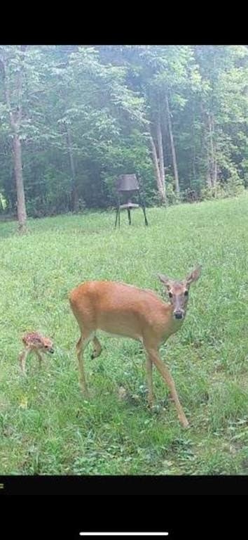 12 acres in Cherokee County - photo 39