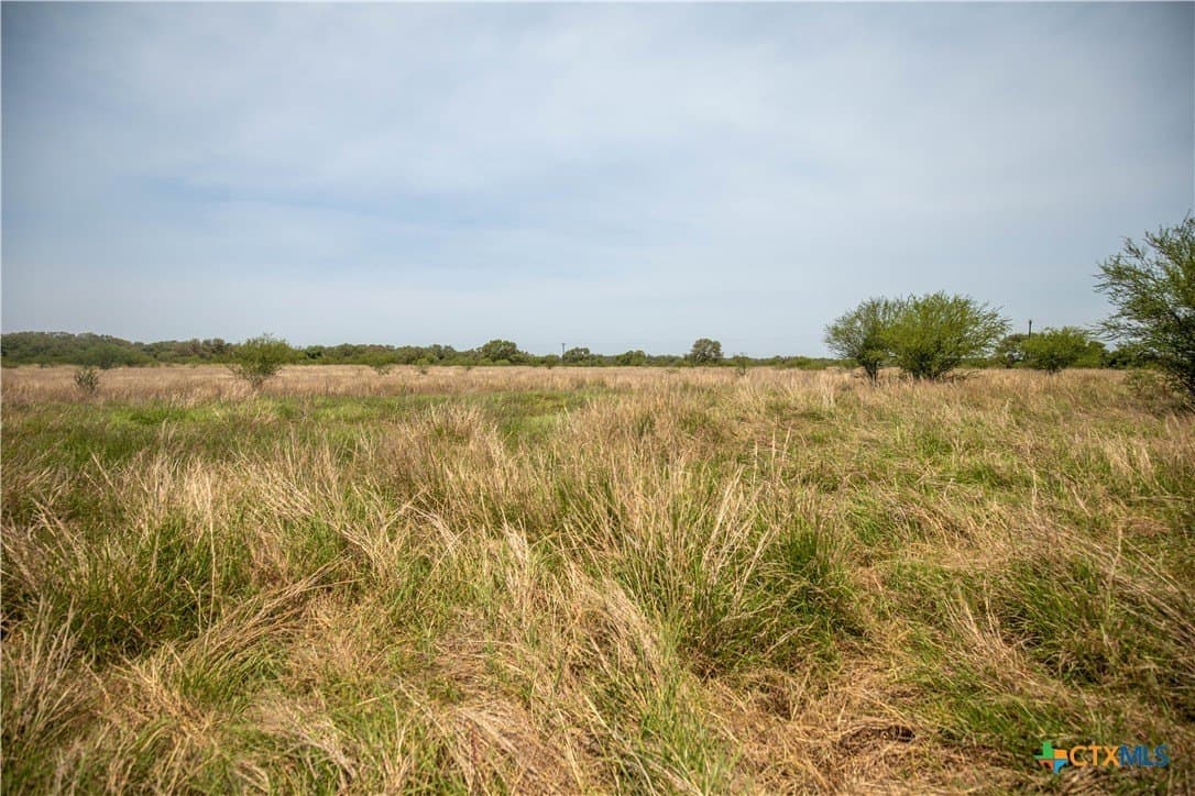 40.82 acres in DeWitt County - photo 22