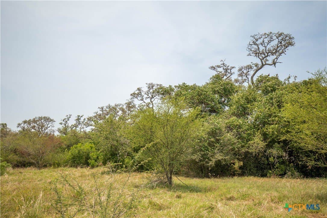 40.82 acres in DeWitt County - photo 37