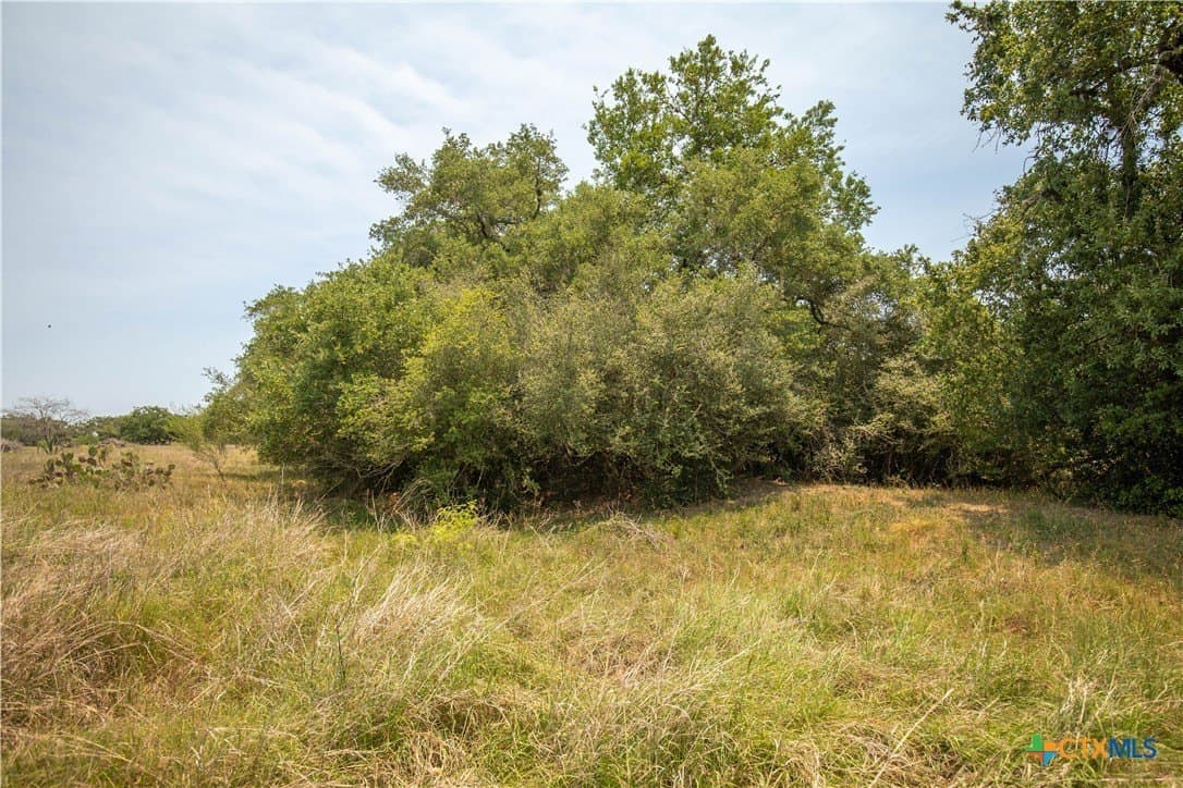40.82 acres in DeWitt County - photo 32
