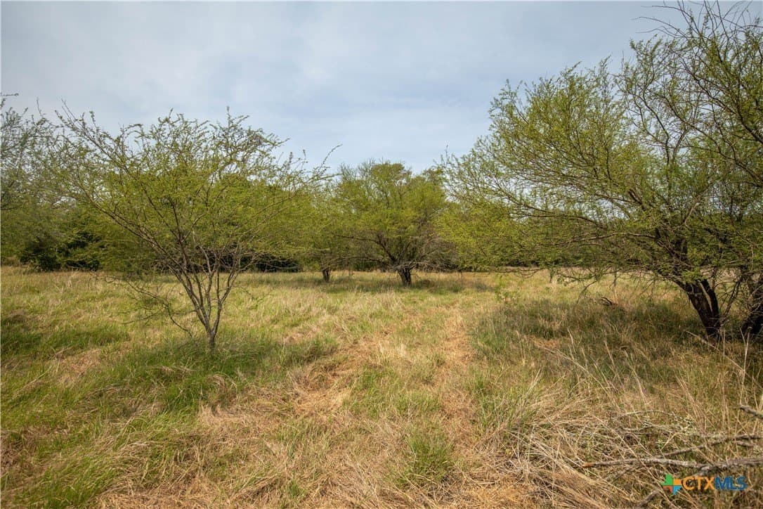 40.82 acres in DeWitt County - photo 36