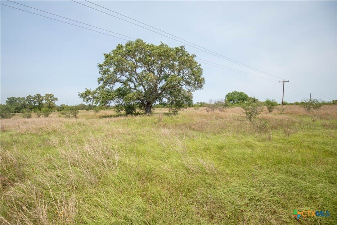 40.82 acres in DeWitt County - photo 41