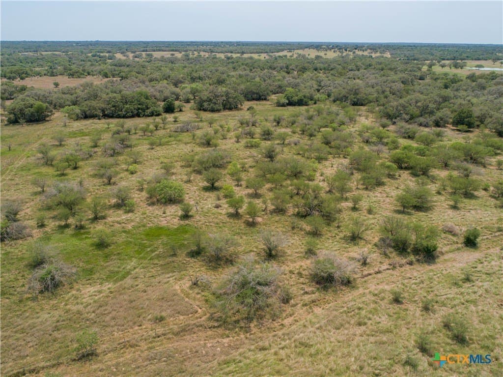 40.82 acres in DeWitt County - photo 14