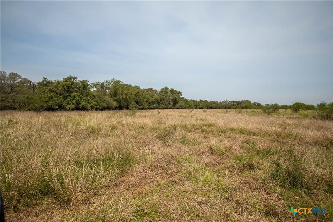 40.82 acres in DeWitt County - photo 24