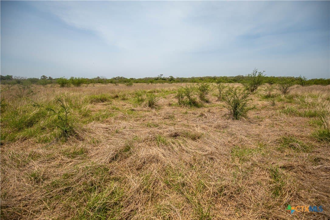 40.82 acres in DeWitt County - photo 23