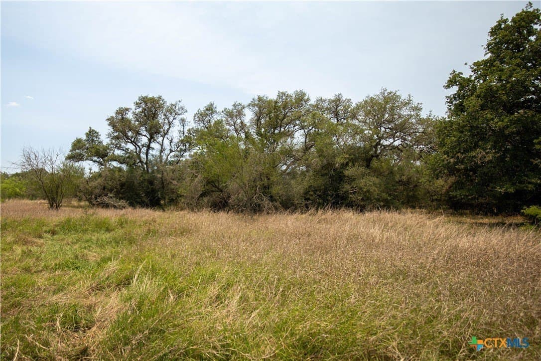 40.82 acres in DeWitt County - photo 25