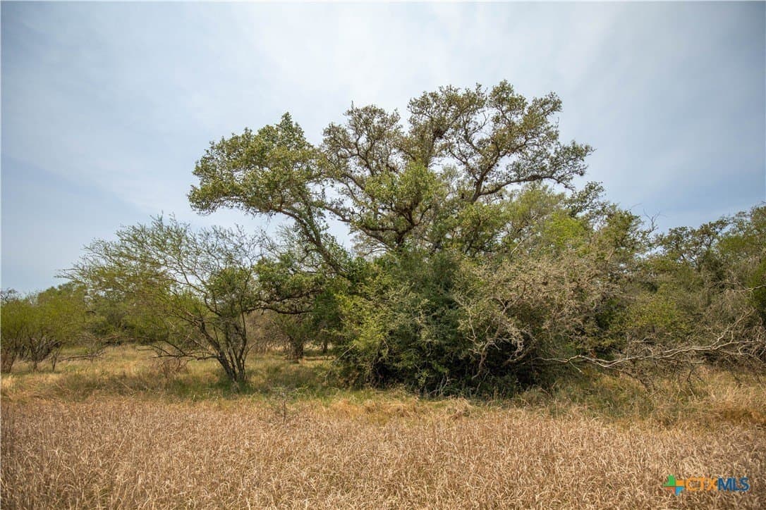 40.82 acres in DeWitt County - photo 27