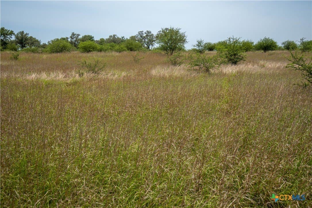 40.82 acres in DeWitt County - photo 46