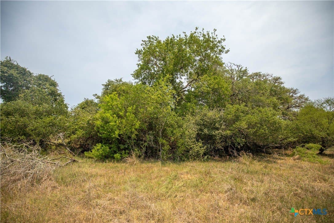 40.82 acres in DeWitt County - photo 31