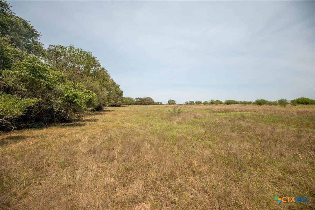 40.82 acres in DeWitt County - photo 40