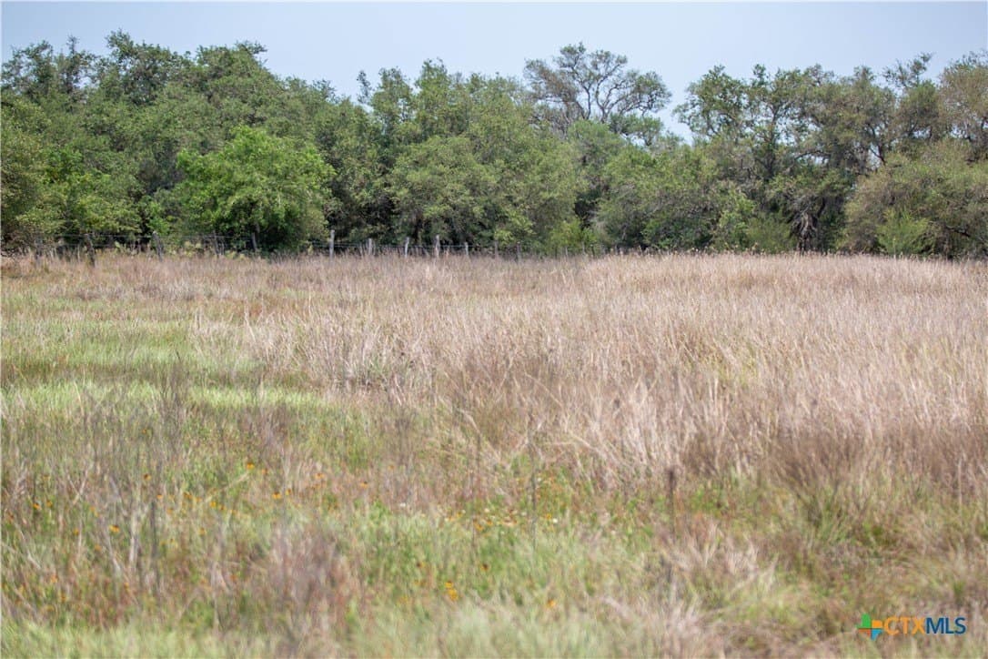 40.82 acres in DeWitt County - photo 47