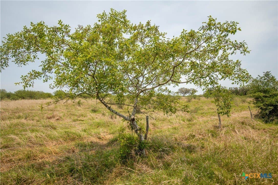 40.82 acres in DeWitt County - photo 34