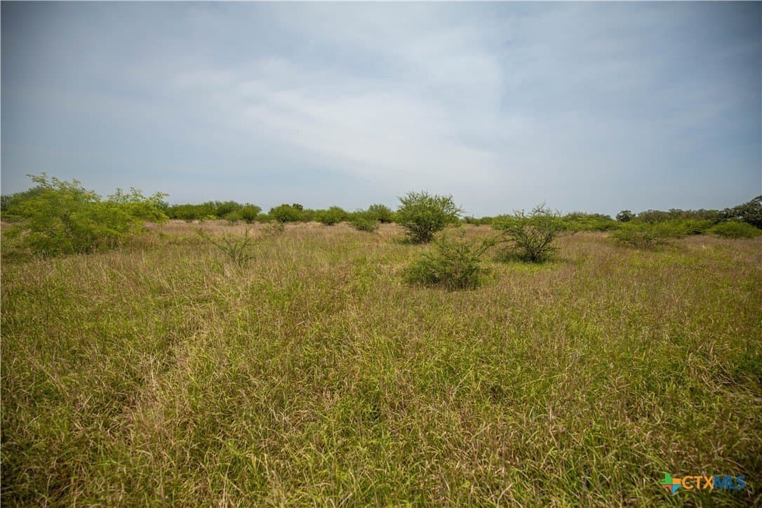 40.82 acres in DeWitt County - photo 21