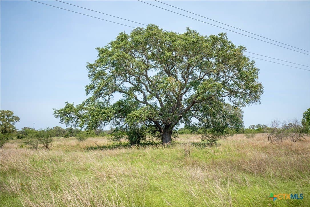 40.82 acres in DeWitt County - photo 42
