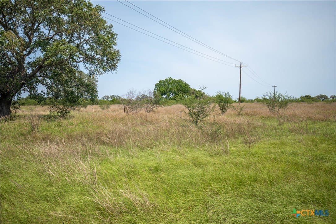 40.82 acres in DeWitt County - photo 44