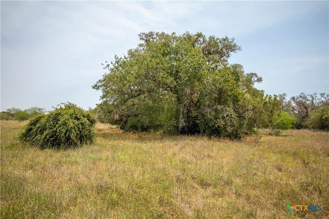40.82 acres in DeWitt County - photo 28
