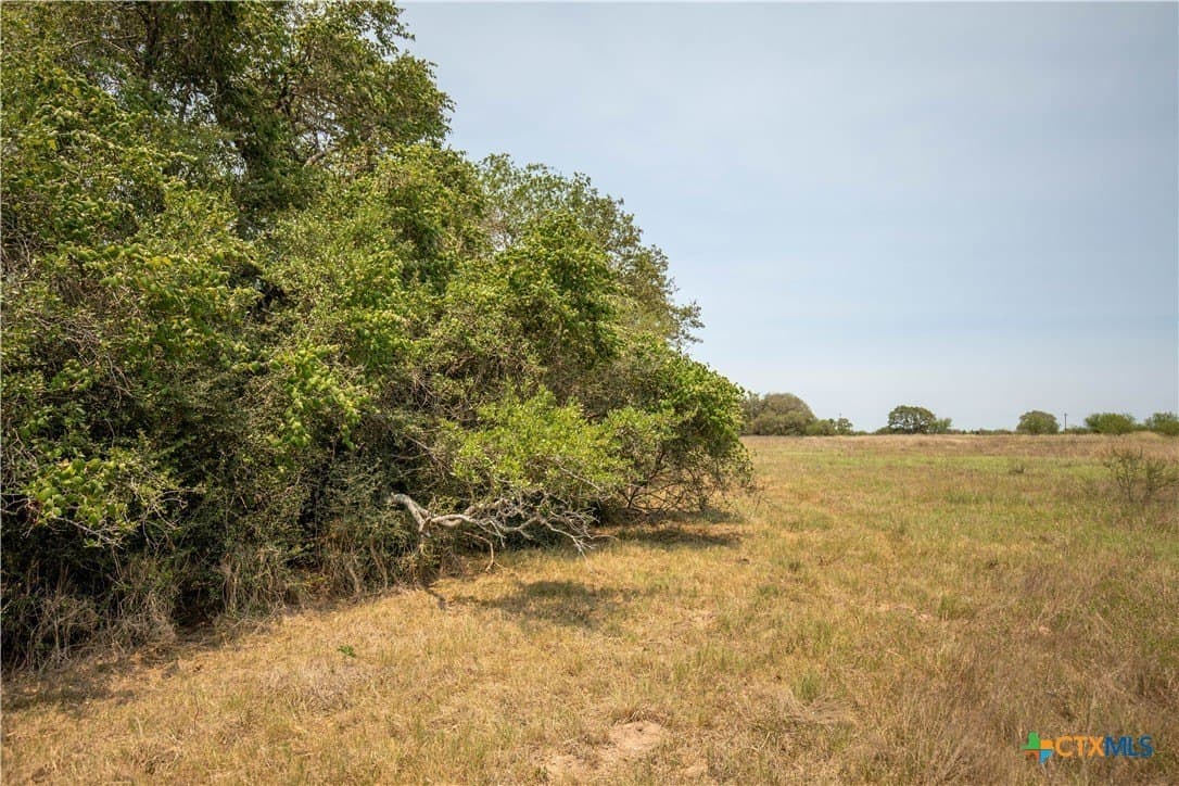 40.82 acres in DeWitt County - photo 38