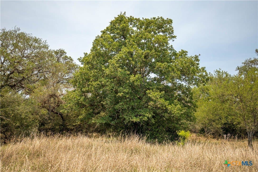 40.82 acres in DeWitt County - photo 26