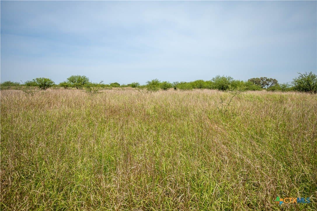 40.82 acres in DeWitt County - photo 18