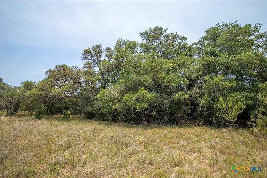40.82 acres in DeWitt County - photo 33