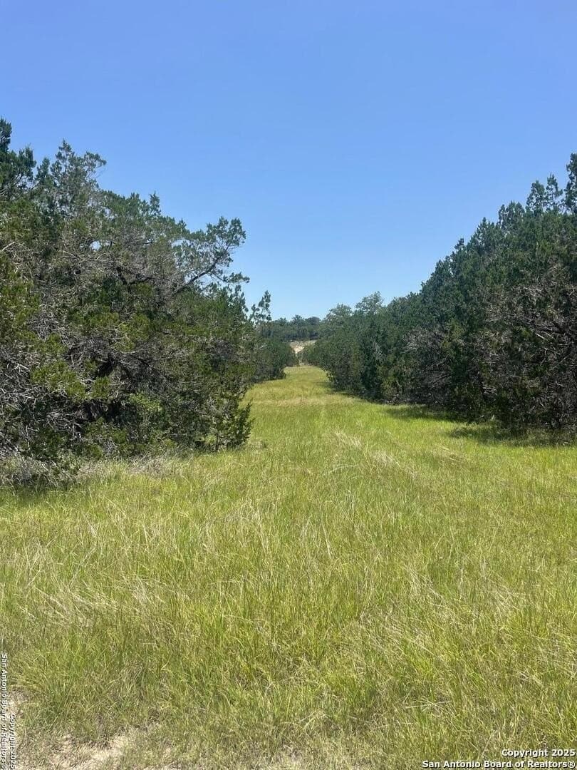 417 acres in Bandera County - photo 24