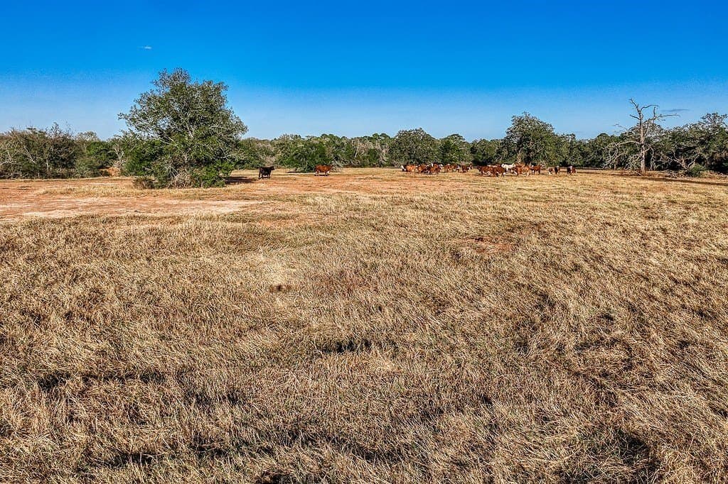205 acres in Fayette County - photo 22