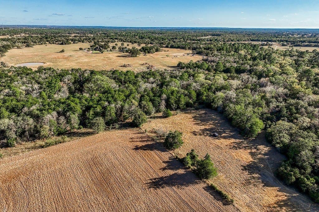 205 acres in Fayette County - photo 2