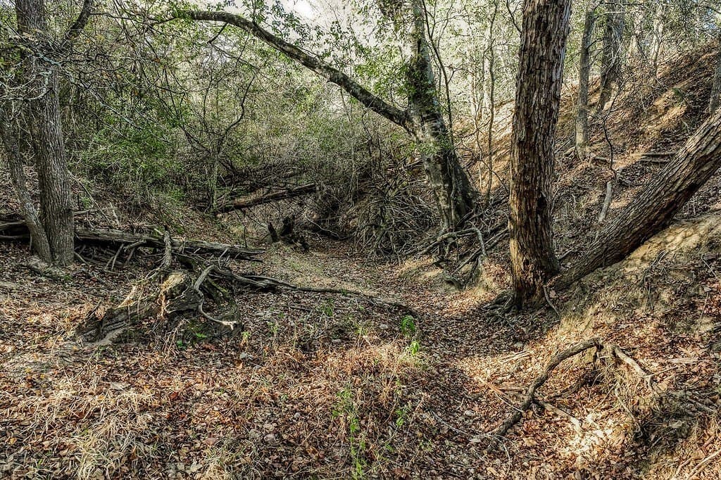 205 acres in Fayette County - photo 18