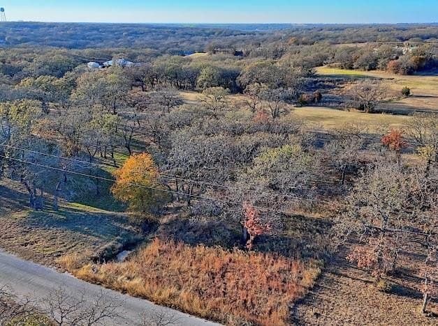 0.27 acres in Montague County - photo 5