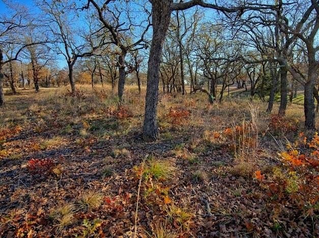 0.27 acres in Montague County - photo 12