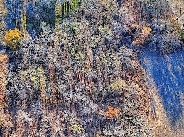 0.27 acres in Montague County - photo 9