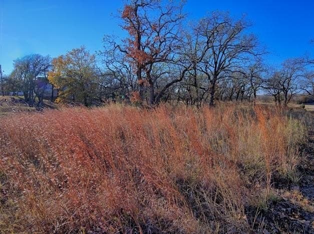 0.27 acres in Montague County - photo 11
