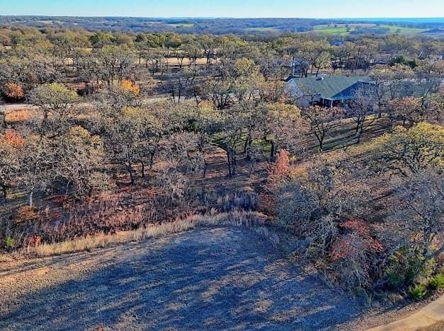 0.27 acres in Montague County - photo 4